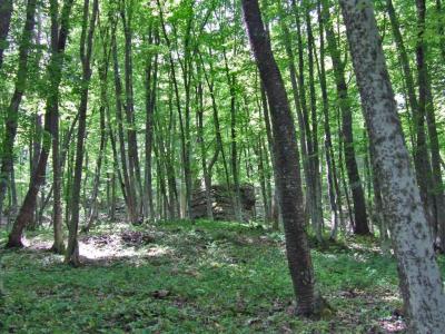 Прикрепленное изображение: DSCF8468.jpg